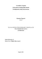 prikaz prve stranice dokumenta Uloga retinoične kiseline u regulaciji transkripcije gena