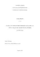 prikaz prve stranice dokumenta Uloga tumor supresorskih gena BRCA2 i TP53 u razvoju karcinoma dojke