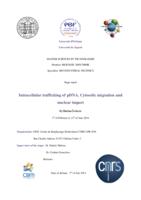 prikaz prve stranice dokumenta Intracellular trafficking of pDNA. Cytosolic migration and nuclear import