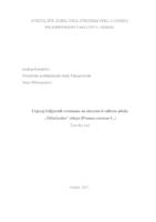 prikaz prve stranice dokumenta Utjecaj folijarnih tretmana na internu kvalitetu ploda „“Oblačinske“ višnje (P. cerasus L)