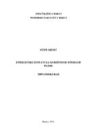 prikaz prve stranice dokumenta Energetski sustavi za korištenje energije plime
