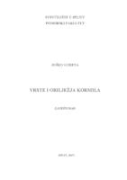 prikaz prve stranice dokumenta Vrste i obilježja kormila