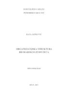 prikaz prve stranice dokumenta Organizacijska struktura brodarskog poduzeća