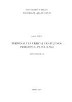 prikaz prve stranice dokumenta Terminali za ukrcaj ukapljenog prirodnog plina (LNG)