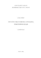 prikaz prve stranice dokumenta Životni ciklus broda s pogleda terotehnologije