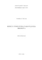 prikaz prve stranice dokumenta Rizici u poslovima nabavljanja brodova