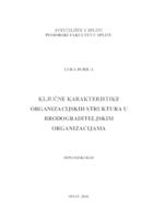 prikaz prve stranice dokumenta Ključne karakteristike organizacijskih struktura u brodograditeljskim organizacijama