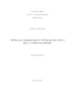 prikaz prve stranice dokumenta Tetraaza makrocikli u interakciji s DNA i RNA u vodenom mediju