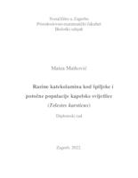 prikaz prve stranice dokumenta Razine katekolamina kod špiljske i potočne populacije kapelske svijetlice (Telestes karsticus)