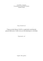 prikaz prve stranice dokumenta Uloga proteinske kinaze Srb10 u regulaciji transkripcije putem aktivatora Gal4 u kvascu Saccharomyces cerevisiae