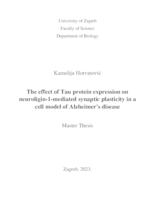 prikaz prve stranice dokumenta The effect of Tau protein expression on neuroligin-1-mediated synaptic plasticity in a cell model of Alzheimer's disease