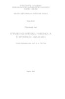 prikaz prve stranice dokumenta Spinsko-izospinska pobuđenja u atomskim jezgrama