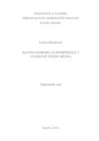 prikaz prve stranice dokumenta Development of a chamber for compression and cooling of the muon beam 