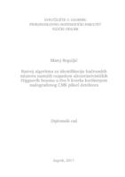 prikaz prve stranice dokumenta Razvoj algoritma za identifikaciju hadronskih mlazova nastalih raspadom ultrarelativističkih Higgsovih bozona u dva b kvarka korištenjem nadograđenog CMS piksel detektora