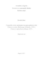 prikaz prve stranice dokumenta Usporedba razine serotonina u mozgu gušterica vrsta Podarcis siculus (Rafinesque-Schmaltz, 1810) i Podarcis melisellensis (Braun, 1877)