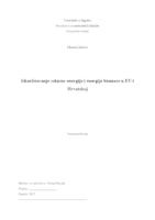 prikaz prve stranice dokumenta Iskorištavanje solarne energije i energije biomase u EU i Hrvatskoj