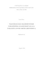 prikaz prve stranice dokumenta Paleoekologija malih bentičkih foraminifera iz badenskih naslaga lokaliteta Donje Orešje (Medvednica)