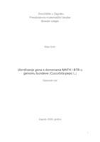 prikaz prve stranice dokumenta Utvrđivanje gena s domenama MATH i BTB u genomu bundeve (Cucurbita pepo L.)