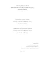 prikaz prve stranice dokumenta Prilagodbe dobrog dupina, Tursiops truncatus (Montagu, 1821), na život u moru