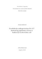 prikaz prve stranice dokumenta Produkcija onkoproteina E6 i E7 humanog papiloma virusa u bakteriji Escherichia coli