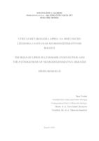 prikaz prve stranice dokumenta Utjecaj metabolizma lipida na disfunkciju lizosoma i nastanak neurodegenerativnih bolesti