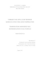 prikaz prve stranice dokumenta Određivanje spola kod morskih kornjača pod utjecajem temperature