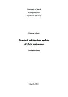 prikaz prve stranice dokumenta Structural and functional analysis of hybrid proteasome Strukturna i funkcionalna analiza hibridnog proteasoma