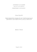 prikaz prve stranice dokumenta Perturbative Stability of Topologically Ordered Systems with Local Defects