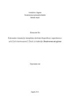 prikaz prve stranice dokumenta Računalne simulacije kompleksa derivata ibuprofena i naproksena s acil-CoA tioesterazom I (TesA) iz bakterije Pseudomonas aeruginosa