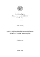 prikaz prve stranice dokumenta Svojstva i uloga mukoznog sloja na kutikuli oklopljenih dugoživaca (Tardigrada: Heterotardigrada)