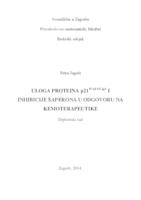 prikaz prve stranice dokumenta Uloga proteina p21 WAF1/Cip1 i inhibicije šaperona u odgovoru na kemoterapeutike