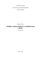 prikaz prve stranice dokumenta Kataliza i njena primjena u svakodnevnom životu