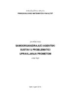 prikaz prve stranice dokumenta Samoorganizirajući agentski sustav u problematici upravljanja prometom
