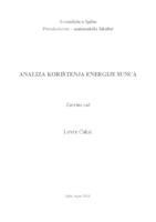 prikaz prve stranice dokumenta Analiza korištenja energije sunca