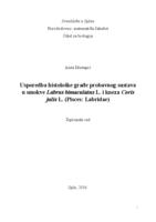 prikaz prve stranice dokumenta Usporedba histološke građe probavnog sustava u smokve Labrus bimaculatus L. i kneza Coris julis L. (Pisces: Labridae)