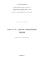 prikaz prve stranice dokumenta ENERGETSKA OBNOVA VIŠESTAMBENIH ZGRADA