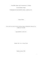 prikaz prve stranice dokumenta Pogled na kulturu Roma kroz prizmu prava na obrazovanje 