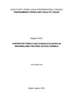 prikaz prve stranice dokumenta Kriprotektorsko djelovanje ß-glukana na miofibrilarne proteine pilećeg surimija