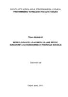 prikaz prve stranice dokumenta Morfologija peluda u medu uljane repice, suncokreta i livadnog meda s područja Baranje