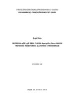 prikaz prve stranice dokumenta Ekspresija af/R i af/S gena plijesni Aspergillus flavus nakon tretmana inhibitorima glutation S-transferaze