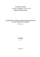 prikaz prve stranice dokumenta Konstrukcija zdenaca s reduciranom dužinom sita na crpilištu Vinogradi