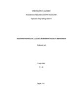 prikaz prve stranice dokumenta Nekonvencionalna ležišta prirodnog plina u Hrvatskoj