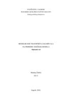 prikaz prve stranice dokumenta Modeliranje transporta zagađivala na primjeru fizičkog modela