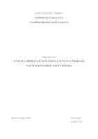 prikaz prve stranice dokumenta Analiza hidrauličkog dijela sustava prerade nafte Rafinerije nafte Rijeka