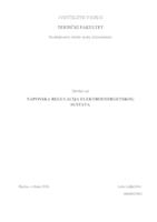 prikaz prve stranice dokumenta NAPONSKA REGULACIJA ELEKTROENERGETSKOG SUSTAVA 