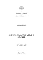 prikaz prve stranice dokumenta Gigantocelularne lezije u čeljusti