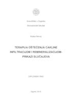 prikaz prve stranice dokumenta Terapija oštećenja cakline infiltracijom i remineralizacijom - prikaz slučajeva