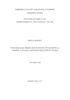 prikaz prve stranice dokumenta Kloniranje plus stabala obične smreke (Picea abies (L.) Karsten) u procesu oplemenjivanja božićnih drvaca