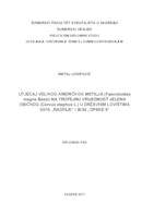 prikaz prve stranice dokumenta Utjecaj velikog američkog metilja (Fascioloides magna Bassi) na trofejnu vrijednost jelena običnog (Cervus elaphus) u državnim lovištima XII/16 "Radinje" i III/39 "Opeke II"