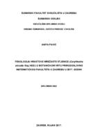 prikaz prve stranice dokumenta Fenologija hrastove mrežaste stjenice (Corythucha arcuata /Say, 1832) u Botaničkom vrtu Prirodoslovno matematičkog fakulteta u Zagrebu u 2017. godini